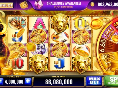 Perabet Dashboard Screenshot